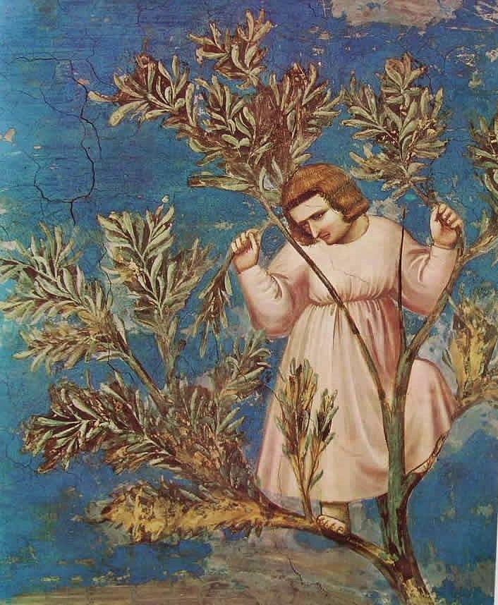 GIOTTO, L�ITALIA