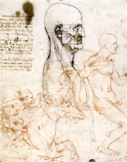 Leonardo - Busto con proporzioni